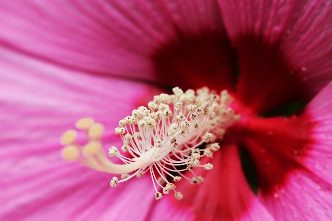photo-178419.jpg!d.jpg