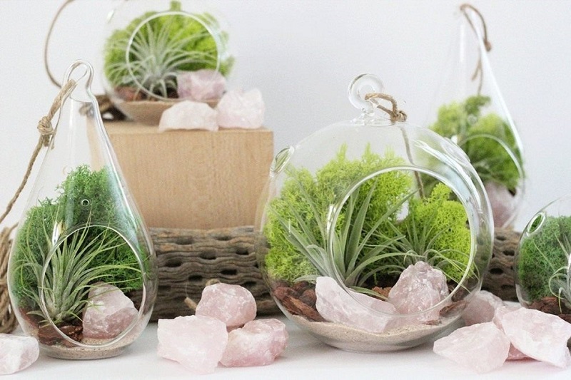 Terrarium-07.jpg