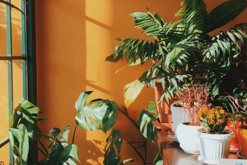 Interior-wall-paint-colors.jpg