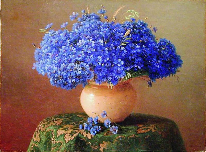 field cornflowers