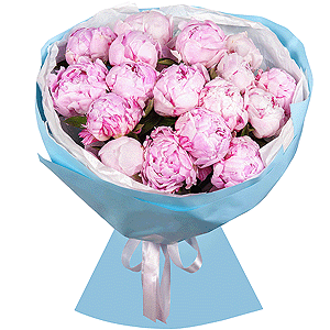 Bouquet of 17 tender peonies with delivery Revda