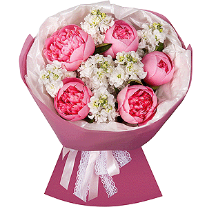 Peony Queen with delivery Revda