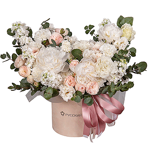 Summer Wind Dance with delivery Revda