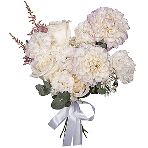 Swan Tenderness with delivery Asbest