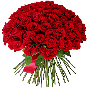 75 Red roses with delivery Yekaterinburg