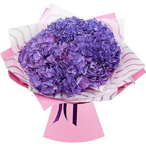 Bouquet of lilac hydrangeas with delivery Yekaterinburg
