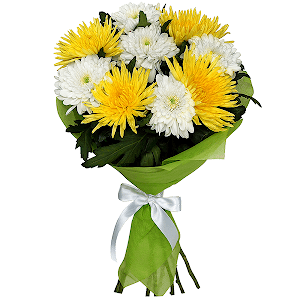 Etude with delivery Yekaterinburg
