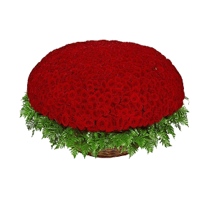 1001 Red roses with delivery Yekaterinburg