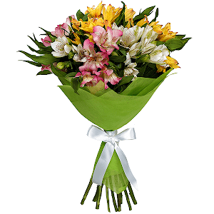For the best Teacher with delivery Yekaterinburg