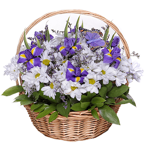 Favourite Plot with delivery Yekaterinburg