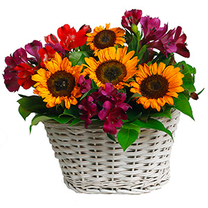 Warm Evening with delivery Yekaterinburg