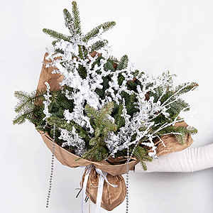 The Snow Kingdom with delivery Yekaterinburg