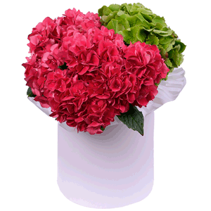 Strawberry souffle with delivery Yekaterinburg