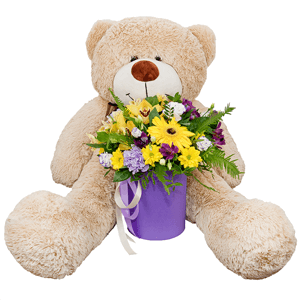 Sunbeams with teddy bear with delivery Yekaterinburg
