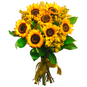 Sun kissed with delivery Yekaterinburg