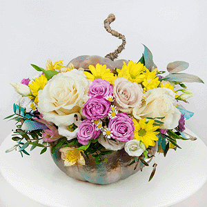 Trick or treat with delivery Yekaterinburg
