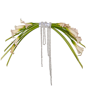 Pearl Harp with delivery Yekaterinburg