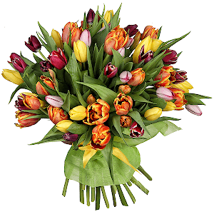 51 Tulips with delivery Yekaterinburg