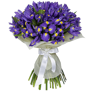 45 Irises with delivery Yekaterinburg