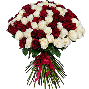 Bouquet of 101 red and white roses Ecuador Premium with delivery Yekaterinburg
