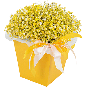 Golden Sands with delivery Yekaterinburg