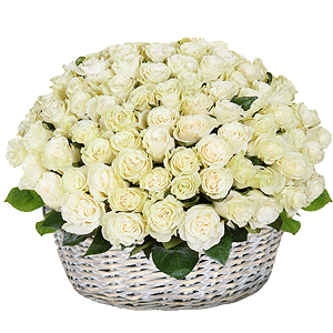 Basket of 101 white roses with delivery Yekaterinburg