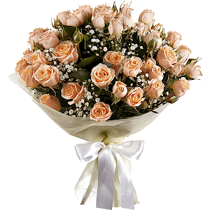 Wonderful Start with delivery Yekaterinburg