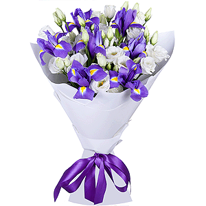 Sea Motive with delivery Yekaterinburg