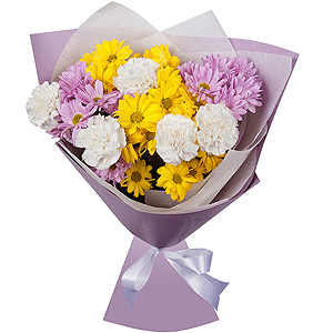 Constellation Chrysanthemum with delivery Yekaterinburg