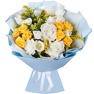 Sun in the clouds with delivery Yekaterinburg