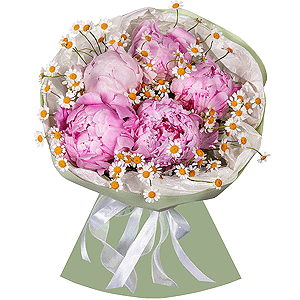 Pink souffl&eacute; with delivery Asbest