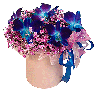 Garden of Night Fairies with delivery Yekaterinburg