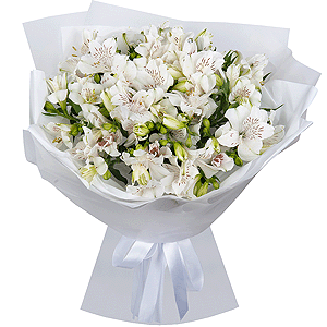 Snow White Dreams with delivery Asbest