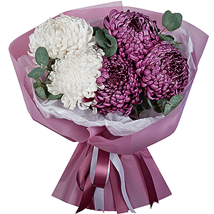 Chrysanthemum Bigoudi purple - 5, Eucalyptus, Wrapping Paper