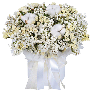 Cloud Softness with delivery Yekaterinburg