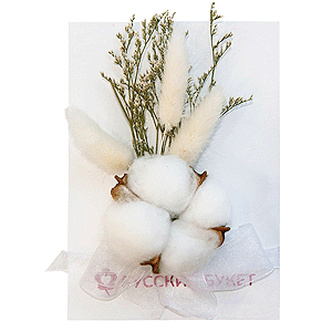 Card &ldquo;Cozy Fluff&rdquo; with delivery Novouralsk