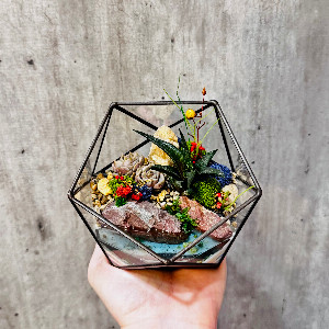 "Sunlit Shore" Terrarium with delivery Yekaterinburg