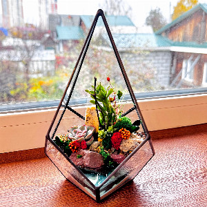 "Rocky Cove" Terrarium with delivery Yekaterinburg