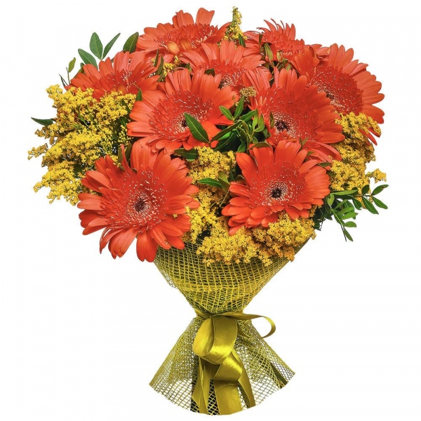 Gerbera daisies - 9, Solidago (1 pc.), Pistachio, Mesh (Abaka), Ribbon
