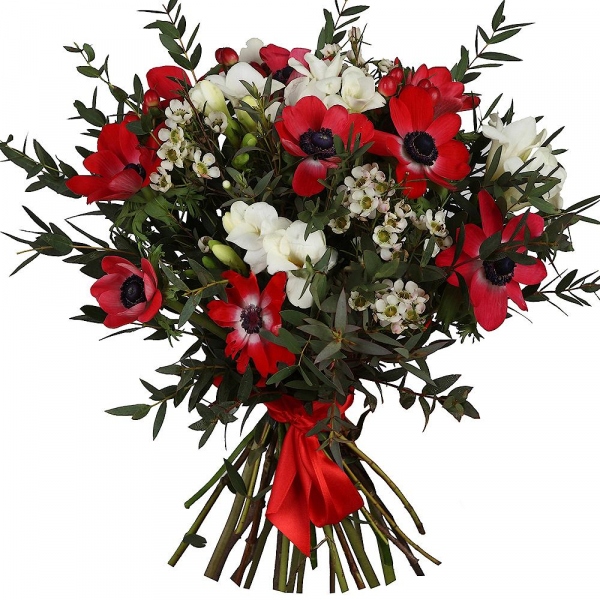 Red anemone - 12, Freesia - 7, Waxflower (1 pc.), Hypericum, Eucalyptus parvifolia (1 pc.), Ribbon