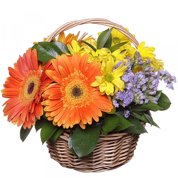 Bacardi Yellow Spray Chrysanthemum - 2, Gerbera daisies - 4, Blue Statice, Oasis, Ruscus, Medium Basket
