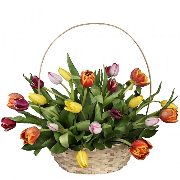 Orange tulip - 9, Red tulip - 8, Yellow tulip - 9, Pink tulip - 7, Ruscus, Oasis, Large Basket