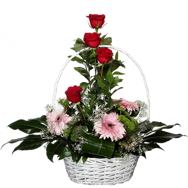 Red rose 50 cm - 7, Gerbera pink - 3, Gypsophila - 2, Athos pom Feeling Green - 2, Fatsia (1 pc.), Aspidistra (1 pc.), Ruscus, Large Basket, Oasis