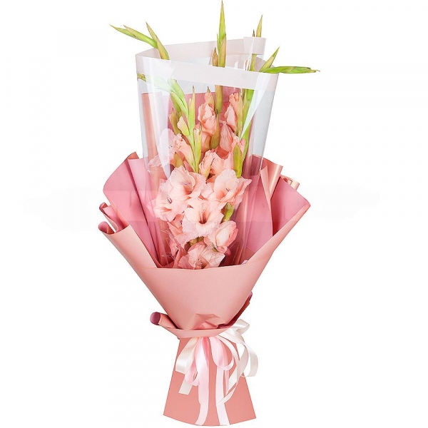 Pink Gladiolus - 7, Wrapping Paper, Ribbon