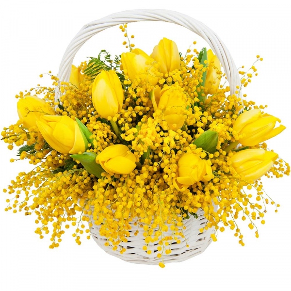 Yellow tulip - 21, Mimosa - 5, Oasis, Medium Basket