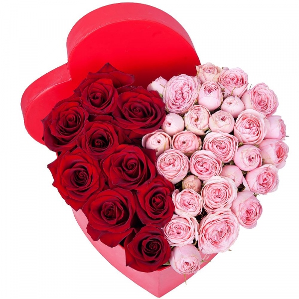 Red rose 50 cm - 9, Peony sprayrose - 5, Composition Box, Oasis