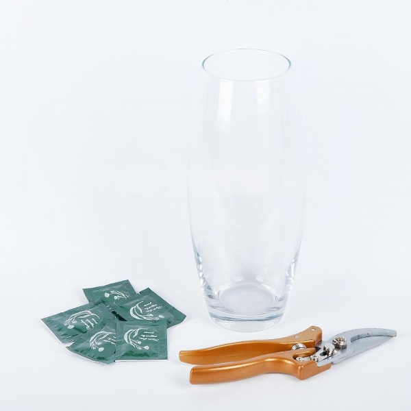 Transparent vase, Flower pruner, Chrysal flower boost