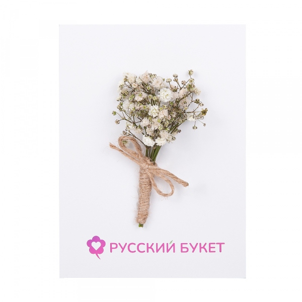 Gypsophila - 0.1, Greeting Card