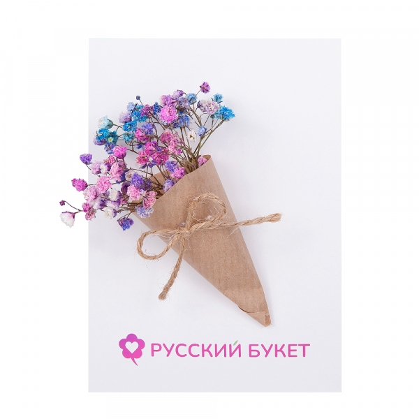 Гипсофила цветная - 0.1, Открытка