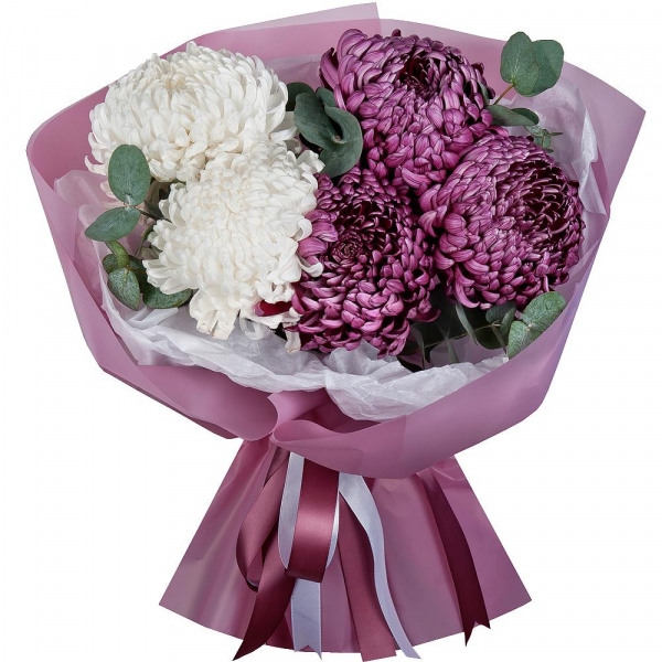 Chrysanthemum Bigoudi purple - 7, Eucalyptus, Wrapping Paper